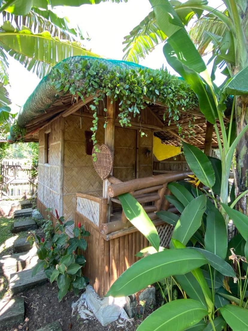 Dupas Luce Love Lodges Talipan Exterior photo