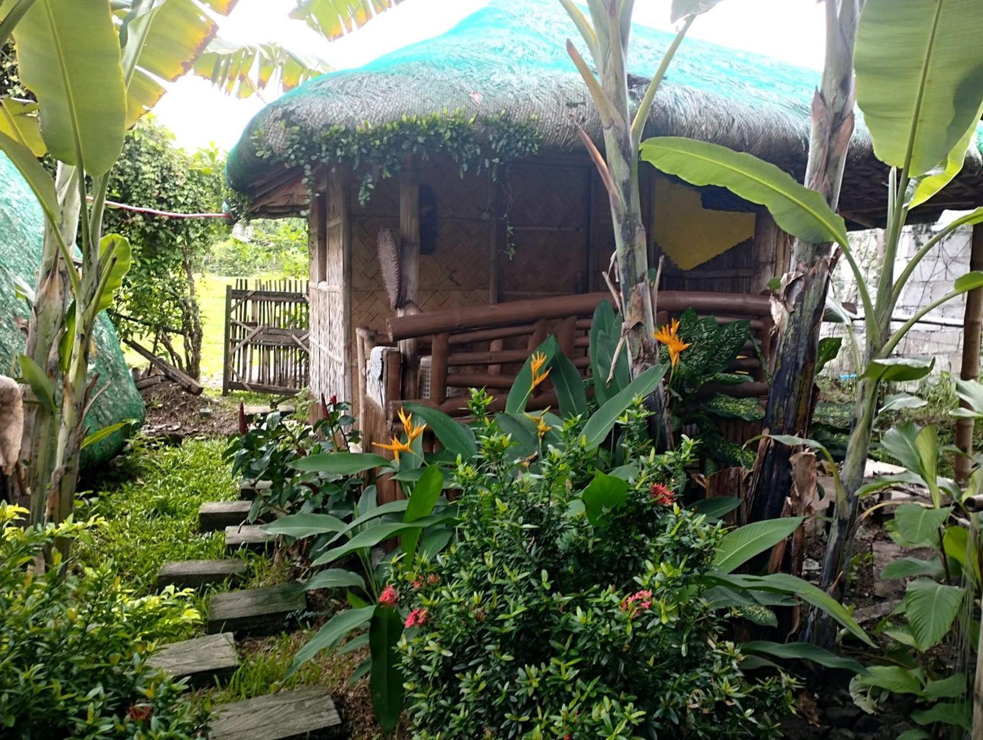 Dupas Luce Love Lodges Talipan Exterior photo