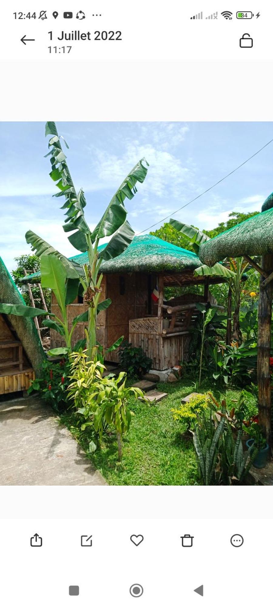 Dupas Luce Love Lodges Talipan Exterior photo